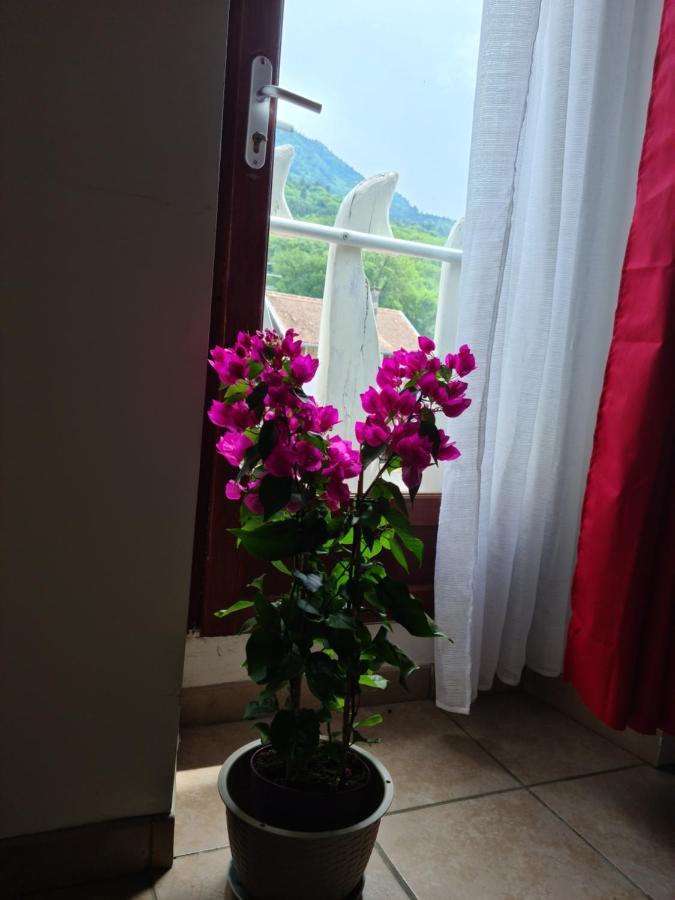 Appartement Route De Cursinges Cervens Esterno foto